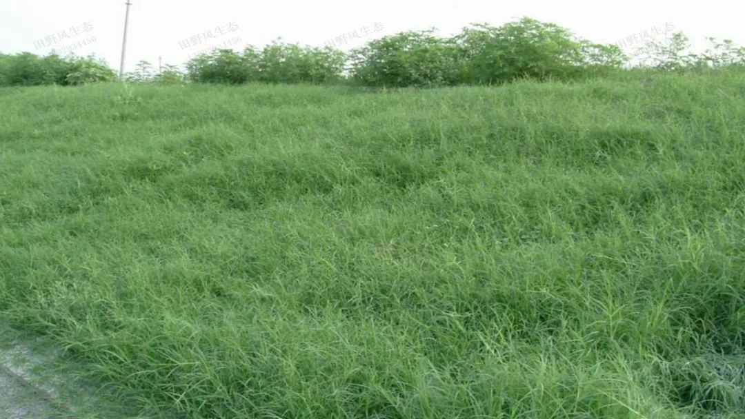 1672650512250235.jpg 微信圖片_20220820070600.jpg