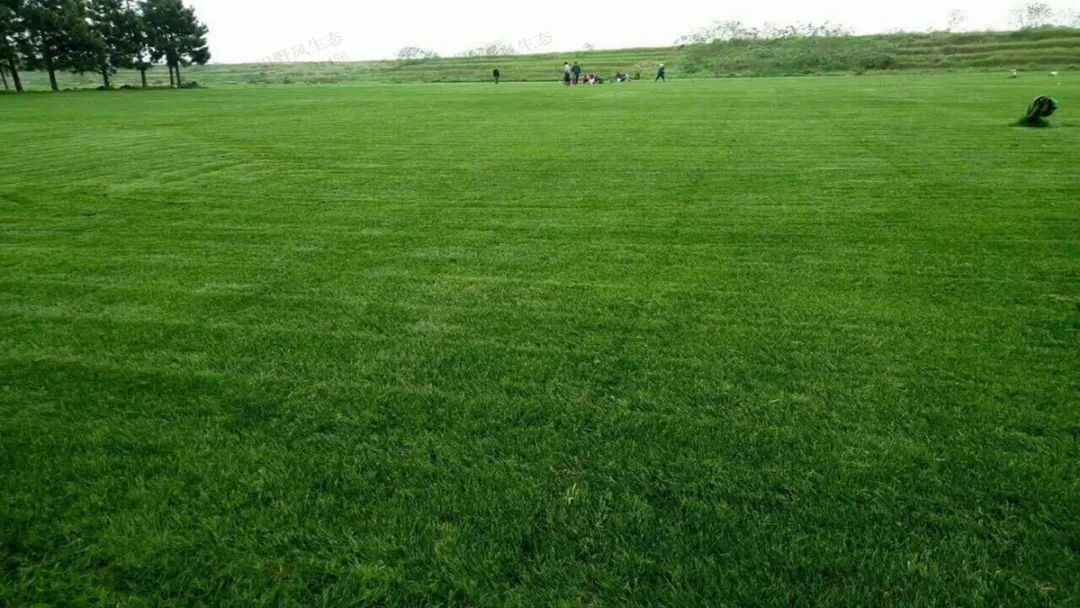 1672650518606041.jpg 微信圖片_20220820070604.jpg