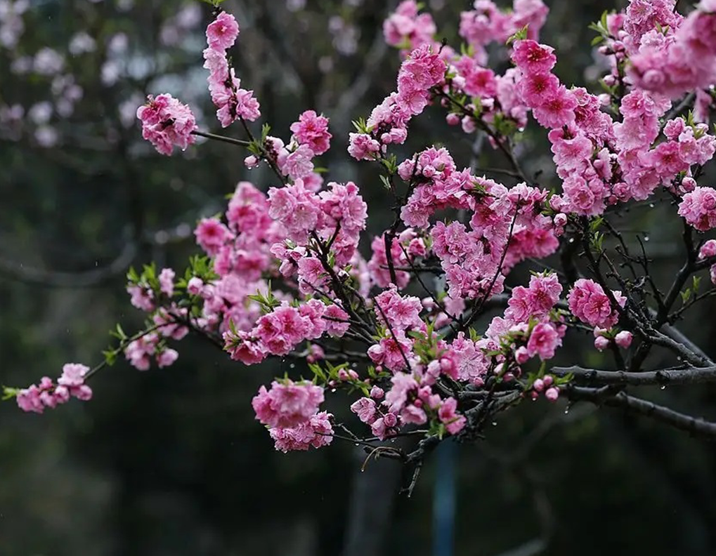 1672650648195530.png 微信圖片_20230102170932.png