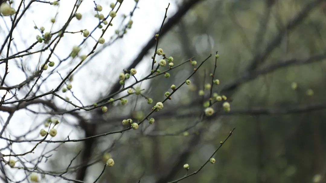 1672650771784469.jpg 微信圖片_20230102171219.jpg