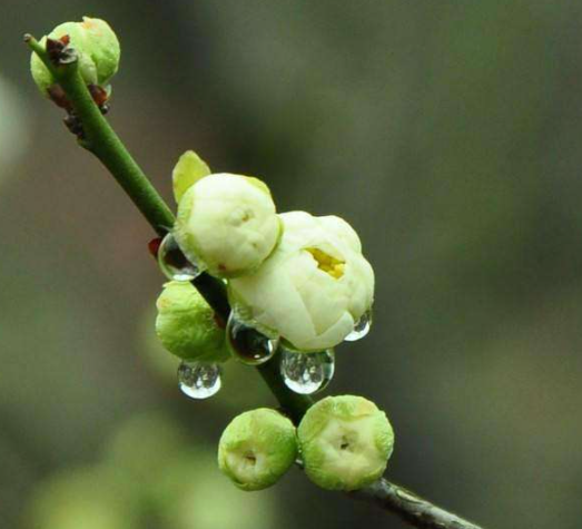 1672662244641439.png 微信圖片_20230102171231.png