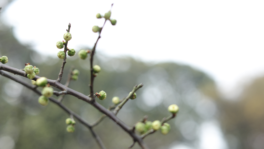 1672662256472060.png 微信圖片_20230102171234.png