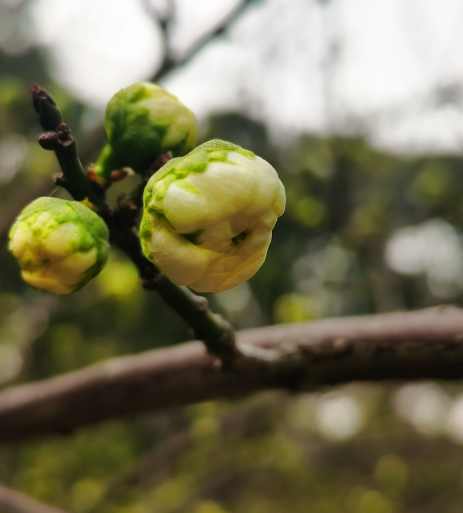 1672662271271975.png 微信圖片_20230102171239.png