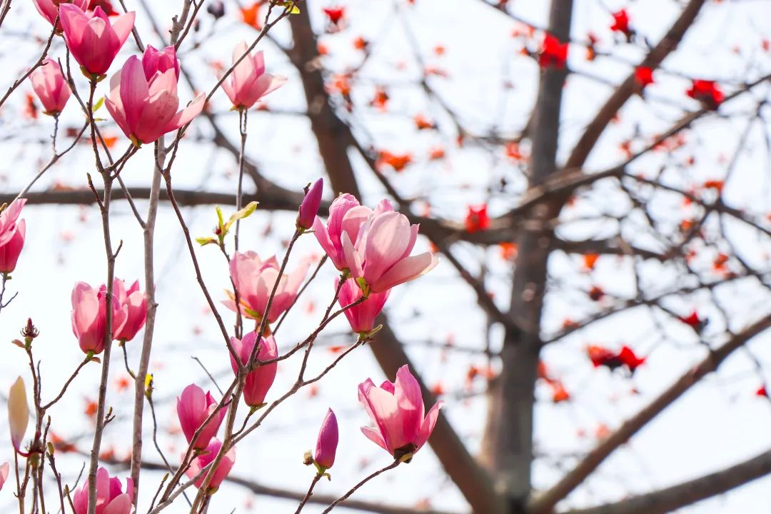 1672662418918949.jpg 微信圖片_20221125235219.jpg