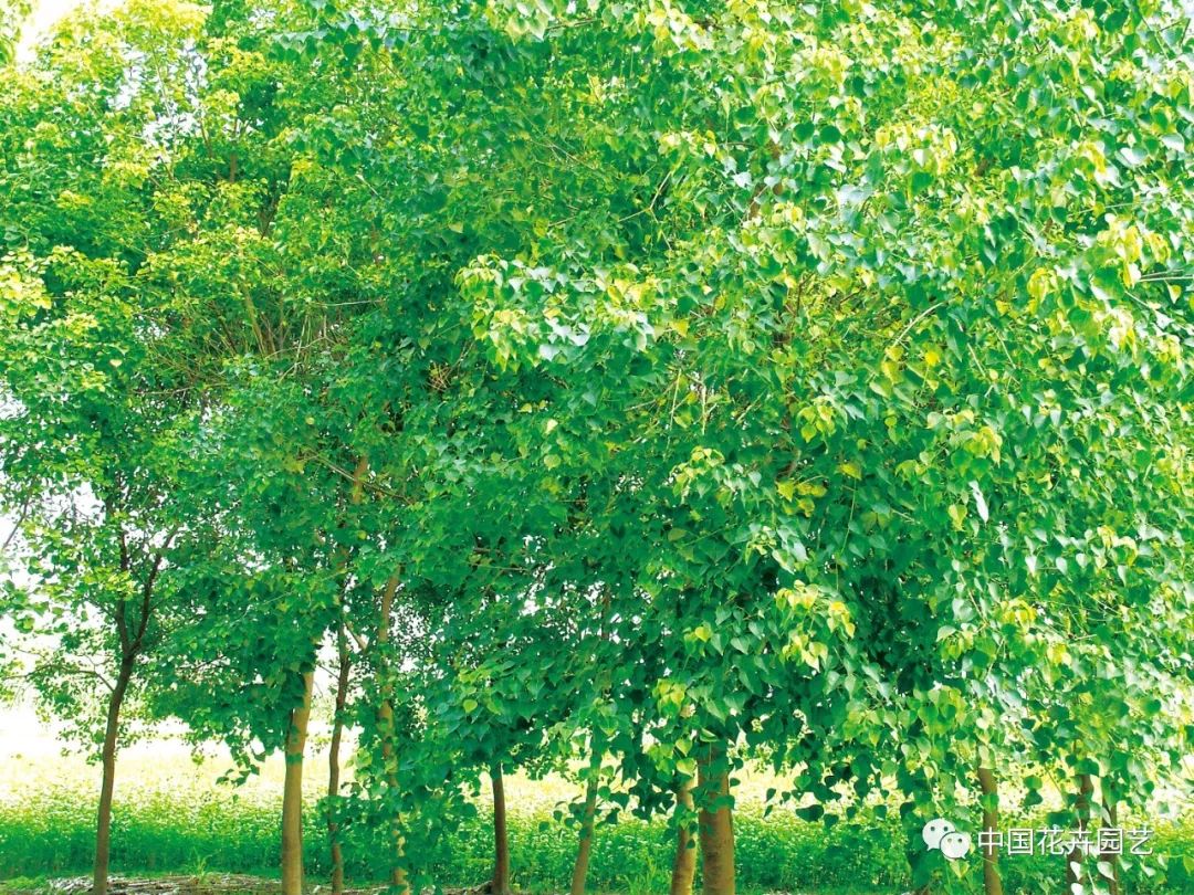 1672662762168474.jpg 微信圖片_20221101145438.jpg