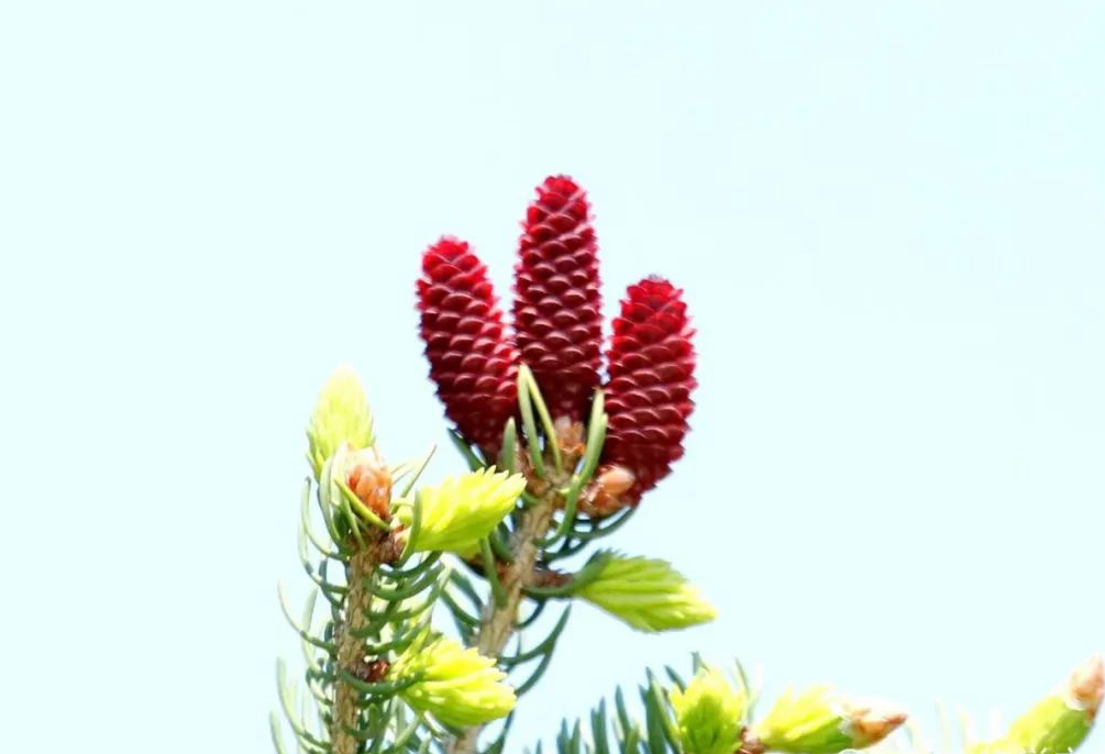 1673146674335574.jpg 微信圖片_20230108105636.jpg