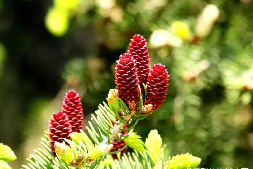 1673146681248057.jpg 微信圖片_20230108105639.jpg