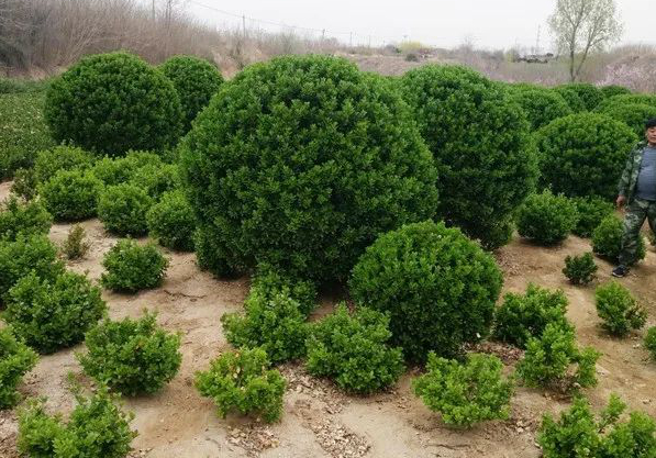 1673147970498004.jpg 微信圖片_20230107221031.jpg