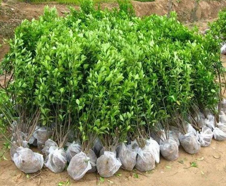 1673147978744181.jpg 微信圖片_20230107221046.jpg