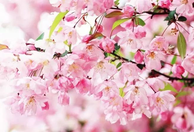 1673148501206113.jpg 微信圖片_20221023234423.jpg