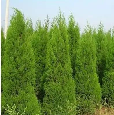 1673150464657459.jpg 微信圖片_20230107194007.jpg