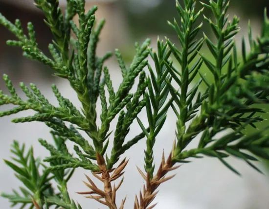 1673150479151275.jpg 微信圖片_20230107193624.jpg