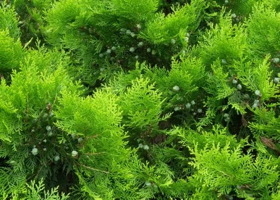 1673150485318157.jpg 微信圖片_20230107193612.jpg