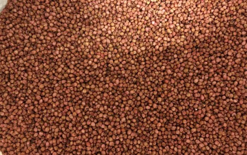 1673150544366491.jpg 微信圖片_20220901063433.jpg