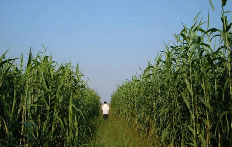 1673150551506294.jpg 微信圖片_20220901063428.jpg