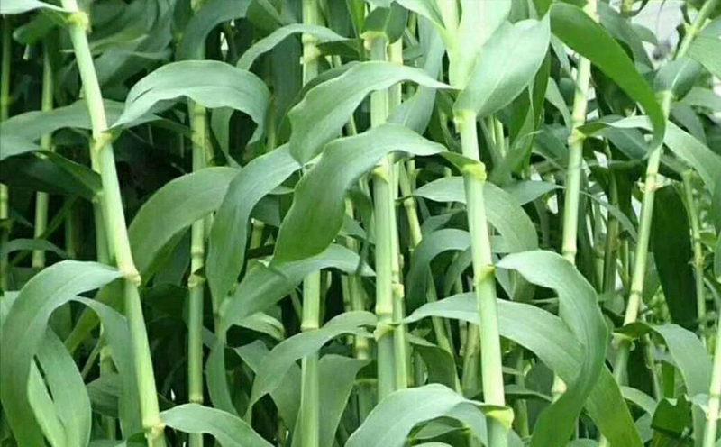 1673150558953989.jpg 微信圖片_20220901063431.jpg