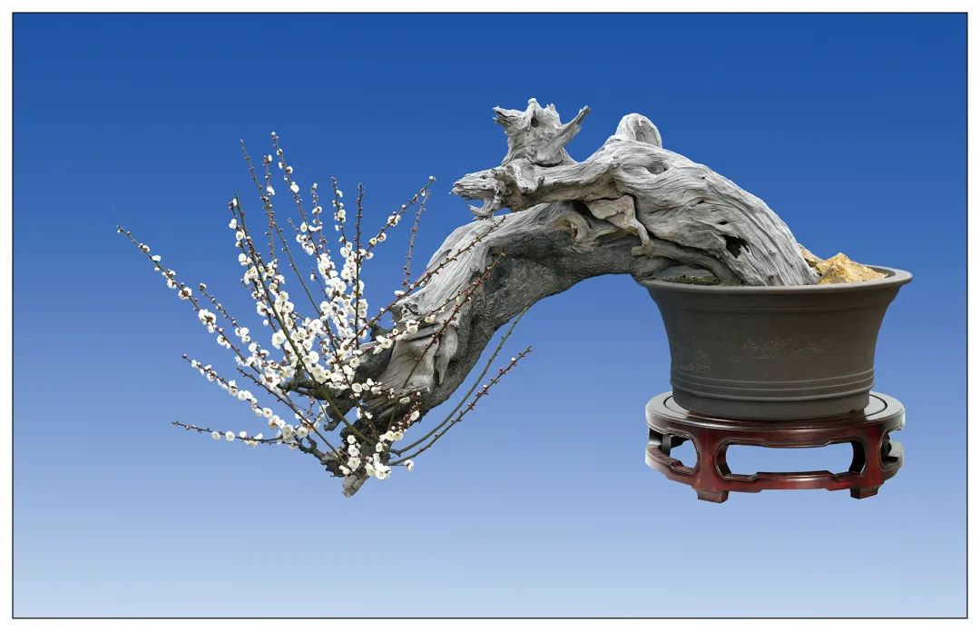 1673151076694730.jpg 微信圖片_20230108121058.jpg