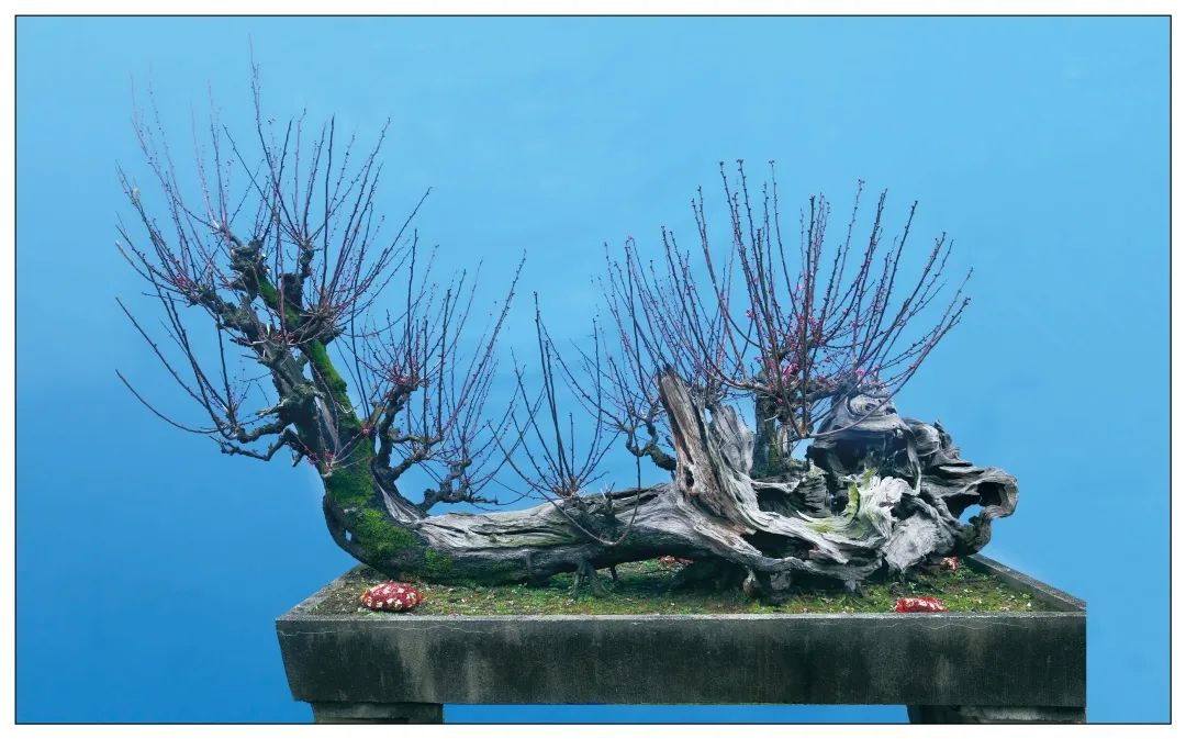 1673151085595182.jpg 微信圖片_20230108121054.jpg