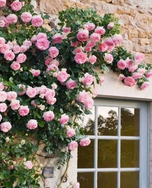 1673151616507150.jpg 微信圖片_20230108121920.jpg