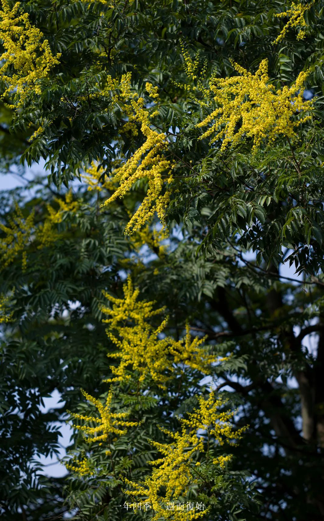 1673385500614535.jpg 微信圖片_20230107200510.jpg