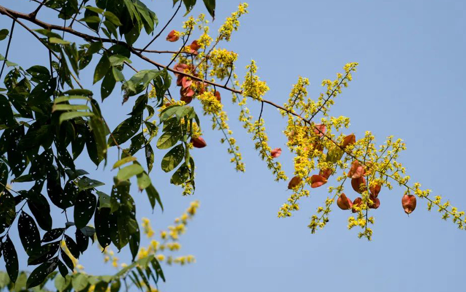 1673385526153304.jpg 微信圖片_20230107200541.jpg