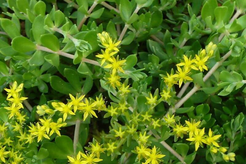 1673781043113919.jpg 1649820079680911.jpg