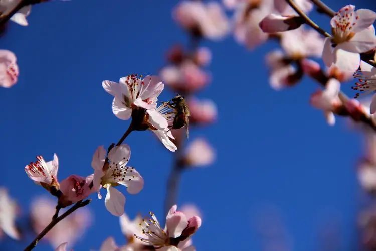 1673782028945547.jpg 微信圖片_20230115185558.jpg