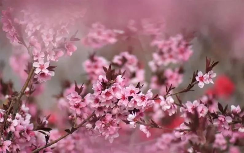 1673782036484482.jpg 微信圖片_20230115185604.jpg