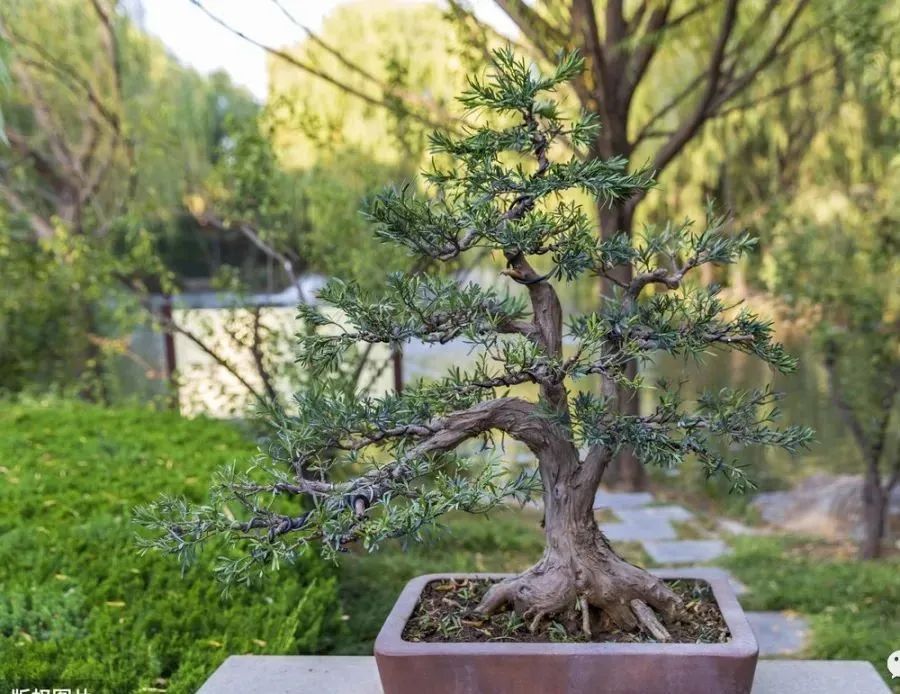 1674486160606873.jpg 微信圖片_20230107163739.jpg