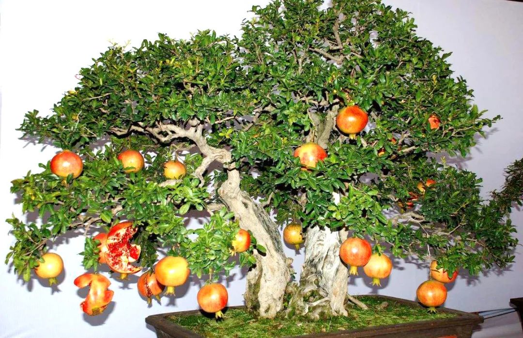 1674486165294209.jpg 微信圖片_20230107163806.jpg