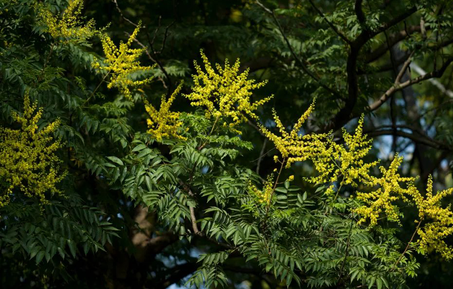 1674486301815175.jpg 微信圖片_20230107200532.jpg