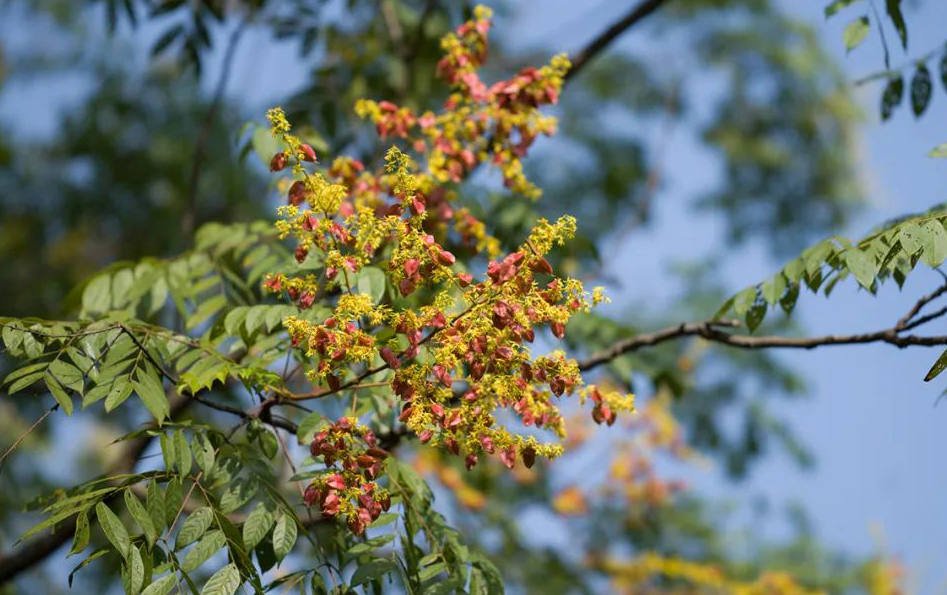 1674486307628689.jpg 微信圖片_20230107200538.jpg