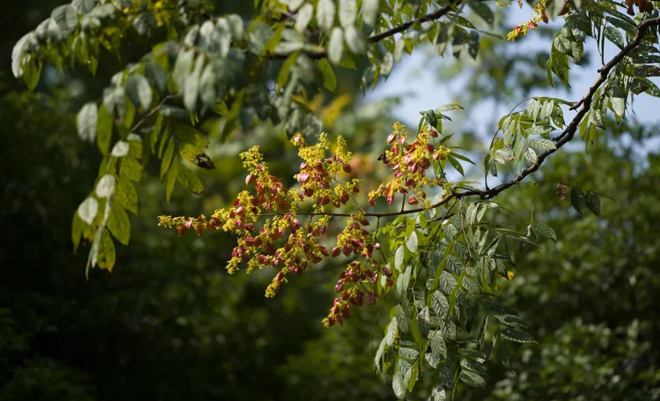 1674486313234420.jpg 微信圖片_20230107200548.jpg