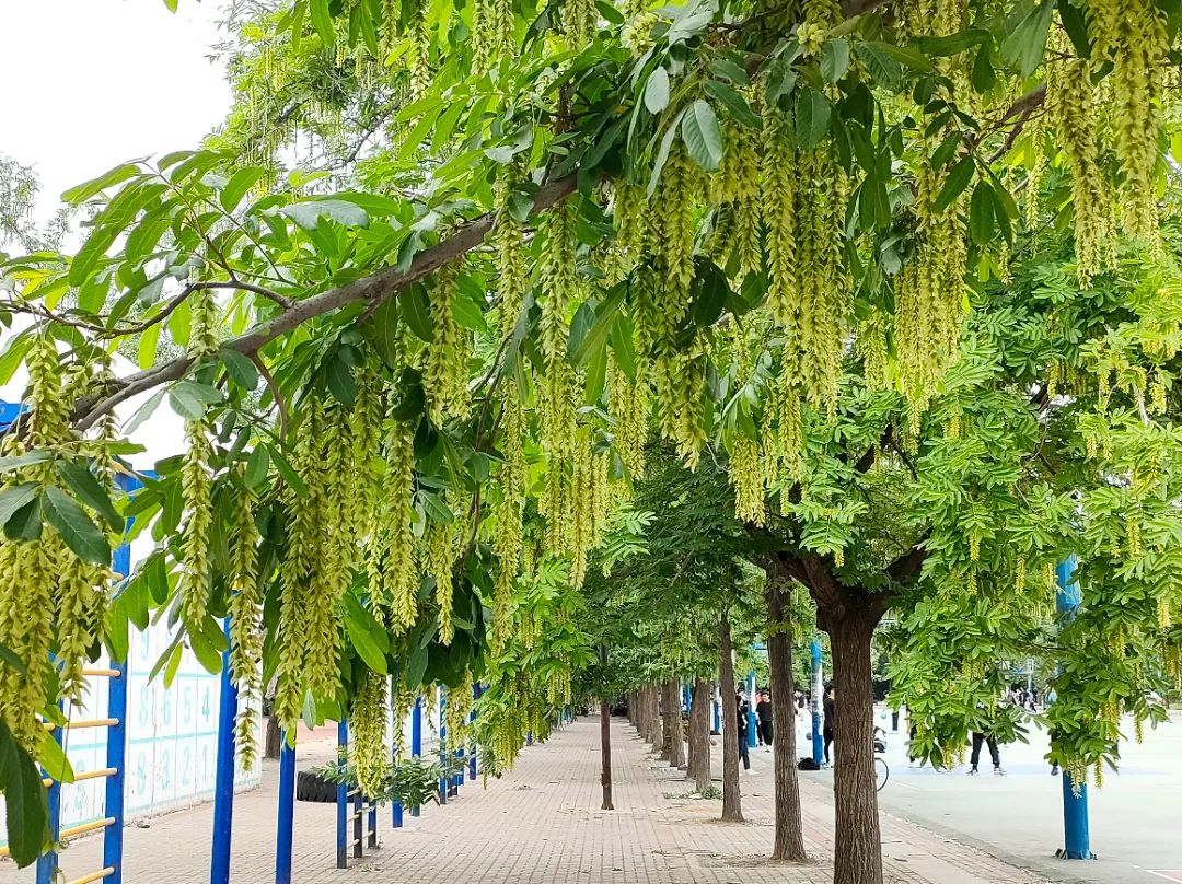微信圖片_20230202061315.jpg