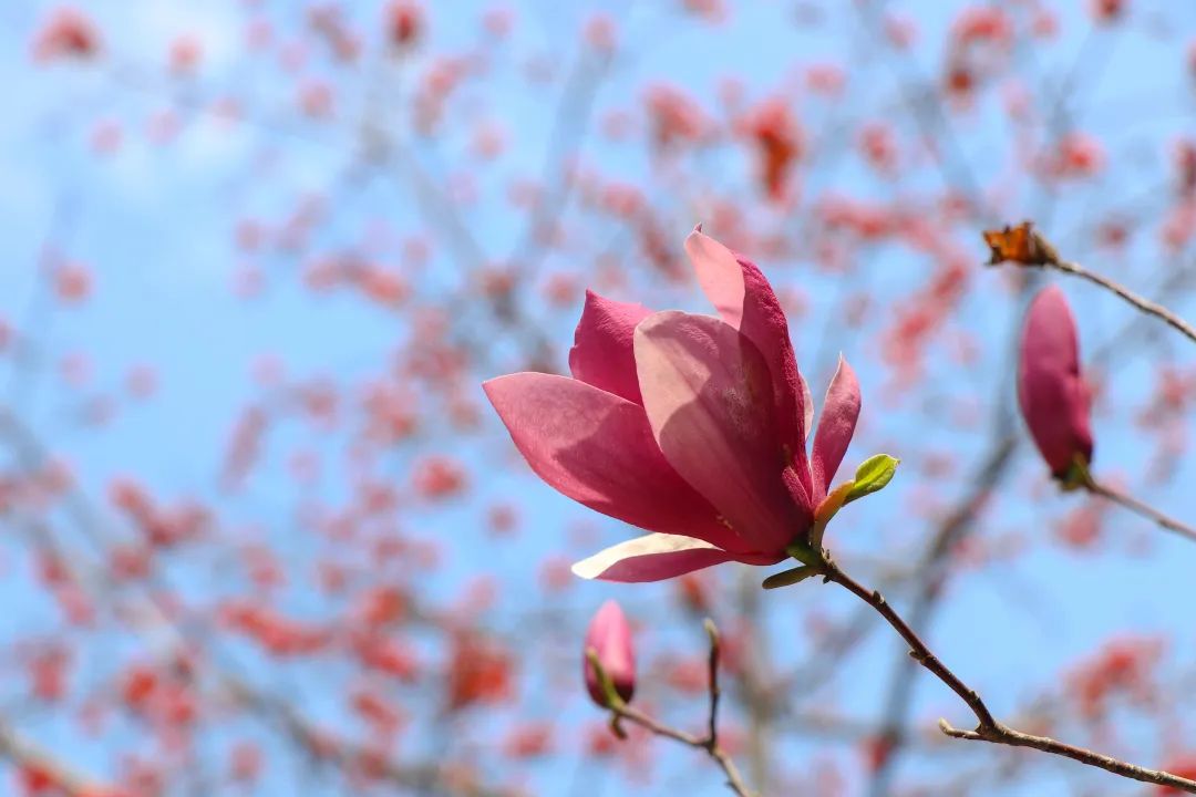 1675479461387839.jpg 微信圖片_20221125235203.jpg