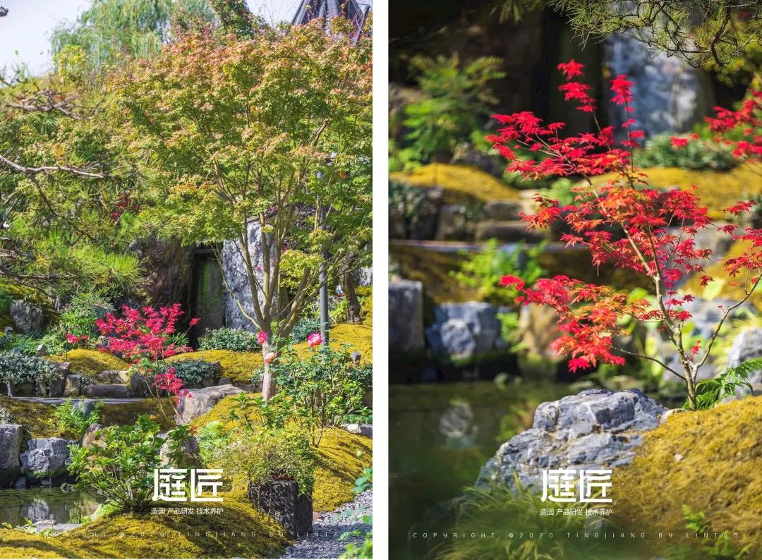 1676069940206789.png image.png