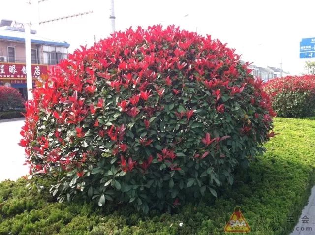 1676070354460082.jpg 微信圖片_20230204142205.jpg