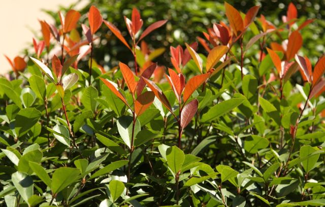 1676070369576931.jpg 微信圖片_20230204142218.jpg