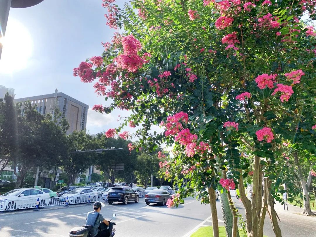 1676643782552497.jpg 微信圖片_20230217222116.jpg