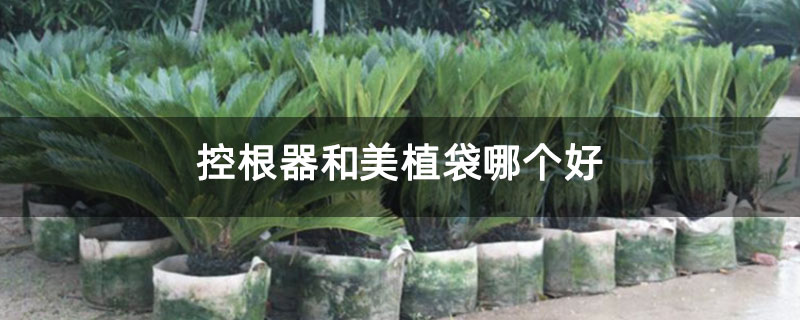 控根器和美植袋哪個好 控根器和美植袋哪個好